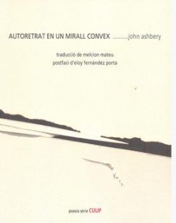 AUTORRETRAT EN UN MIRALL CONVEX