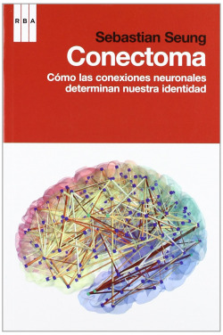 Conectoma