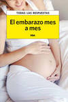 El embarazo mes a mes