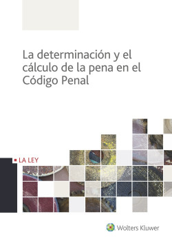 PROCESO PENAL PRACTICO 7ªED.