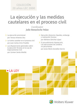 LA EJECUCIÓN Y MEDIDAS CAUTELARES EN EL PROCESO CIVIL