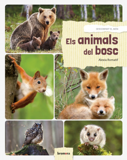 Animals del bosc