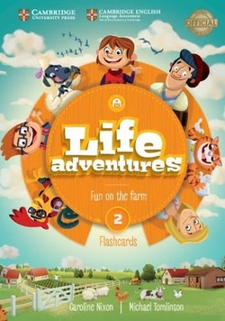 LIFE ADVENTURES LEVEL 2 FLASHCARDS