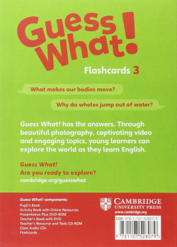 Guess What Special Edition for Spain Level 3 Flashcards