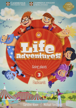 LIFE ADVENTURES LEVEL 3 FLASHCARDS