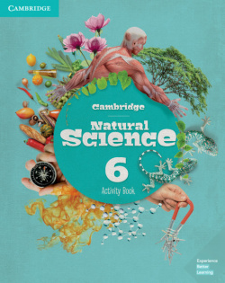 NATURAL SCIENCE 6 ACTIVITY BOOK PRIMARY