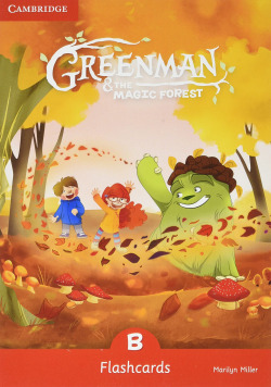 GREENMAN AND THE MAGIC FOREST B FLASHCARDS (PACK O