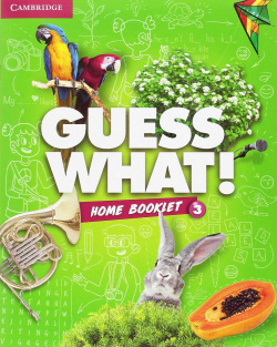 Guess What 3 Primary Activity with Do at Home and on-line Interactive Activities 2017