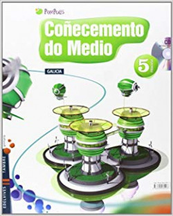 MEDIO 5 EP GALLEGO PIXEPOLIS 2013