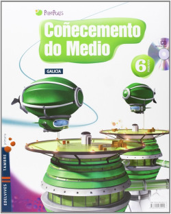MEDIO 6 EP GALLEGO PIXEPOLIS 2013