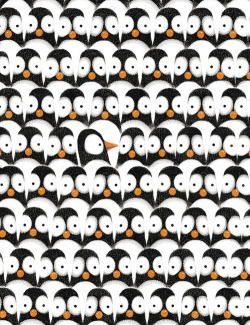ELS PROBLEMES D´EN PINGÜÍ