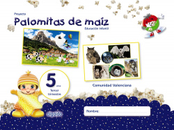 PROYECTO PAMOLIMTAS DE MAIZ 5 AÑOS 3ºTRIMESTRE VALENCIA
