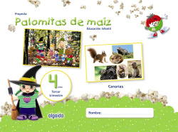 PROYECTO PALOMITAS DE MAIZ 4 AÑOS 3ºTRIMESTRE CANARIAS