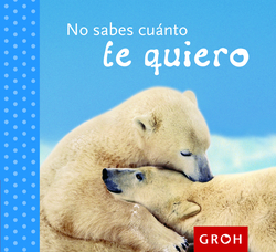 No sabes cuanto te quiero