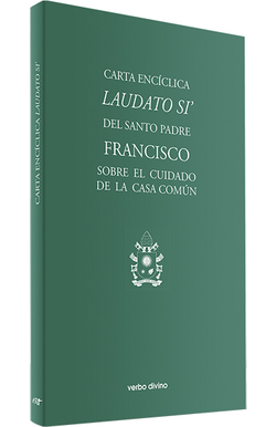 Carta encíclica Laudatio Si