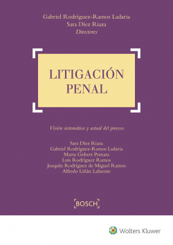 LITIGACIÓN PENAL