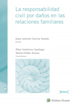 RESPONSABILIDAD CIVIL POR DAÑOS EN LAS RELACIONES FAMILIARES