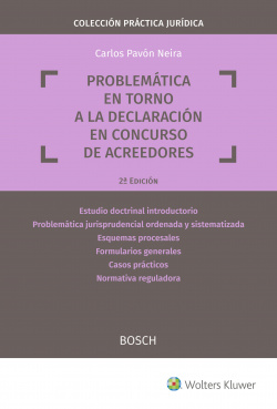 PROBLEMÁTICA EN TORNO A LA DECLARACIÓN EN CONCURSO DE ACREEDORES