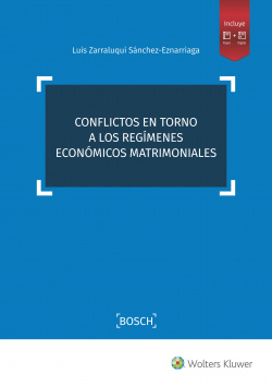CONFLICTOS EN TORNO A LOS REGÍMENES ECONÓMICOS MATRIMONIALES