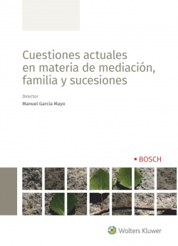 Cuestiones actuales en materia de mediación, familia y sucesiones