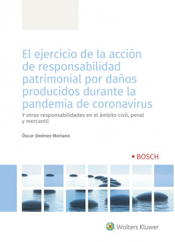 El ejercicio de la acción de responsabilidad patrimonial por daños producidos durante la pandemia de coronavirus