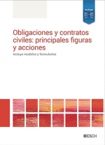 Obligaciones y contratos civiles: principales figuras y acciones