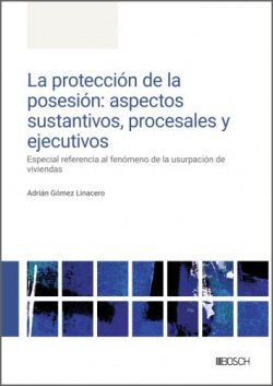 Proteccion de la posesion: aspectos sustantivos, procesales