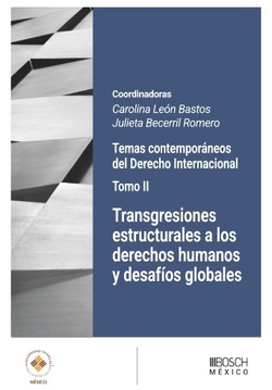 Transgresiones estructurales a los derechos humanos y desafíos globales