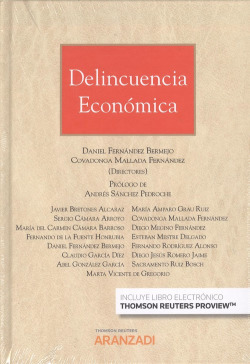 DELINCUENCIA ECONÓMICA (DUO)