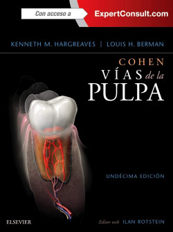 Vias de la pulpa