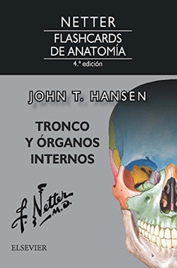 TRONCO Y ÓRGANOS INTERNOS