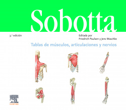 TABLAS DE MUSCULOS, ARTICULACIONES Y NERVIOS
