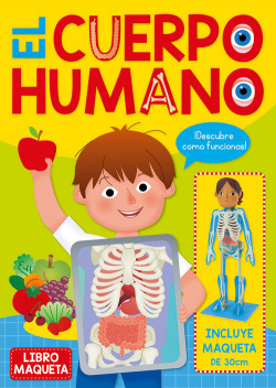 EL CUERPO HUMANO