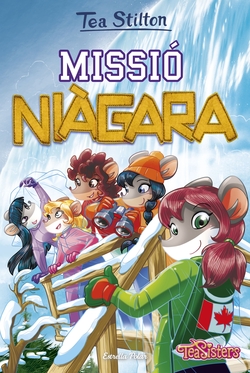 MISSIÓ NIÀGARA 29