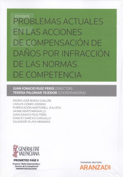 PROBLEMAS ACTUALES EN LAS ACCIONES DE COMPENSACIÓN DE DAÑOS POR INFRACCIÓN DE LAS NORMAS DE COMPETENCIA