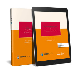 ANUARIO DE LOS CURSOS DE DERECHOS HUMANOS DE DONOSTIA-SAN SEBASTIAN (PAPEL + E-BOOK)