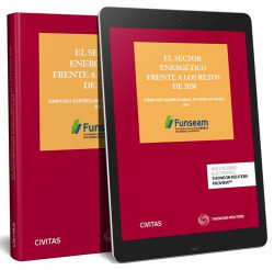 SECTOR ENERGÈTICO FRENTE A LOS RETOS DE 2030