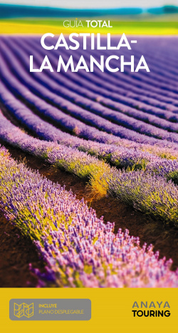 CASTILLA-LA MANCHA 2019