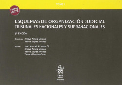 ESQUEMAS DE ORGANIZACIÓN JUDICIAL