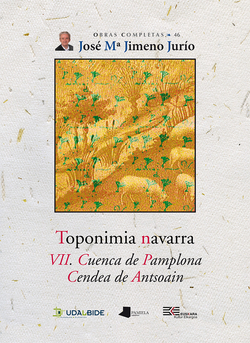 TOPONIMIA NAVARRA VII. CUENCA DE PAMPLONA. CENDEA DE ANTSO