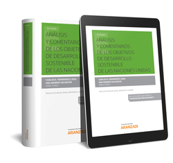 ANALISIS Y COMENTARIOS DE LOS OBJETIVOS DE DESARROLLO SOSTENIBLE DE LAS NACIONES UNIDAS (PAPEL + E-B