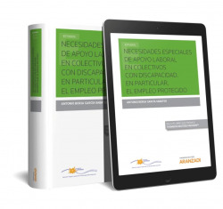 Necesidades especiales de apoyo laboral en Colectivos con Discapacidad. En particular, el Empleo Protegido (Papel + e-book)