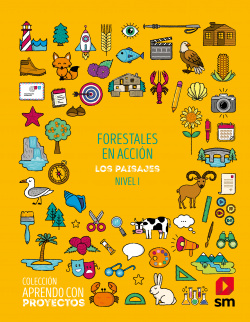 EL PAISAJE 1ºPRIMARIA. PROYECTOS