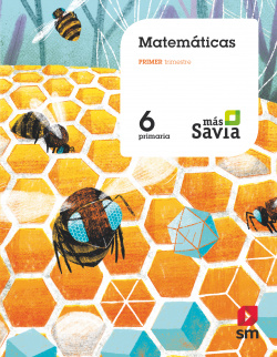 MATEMÁTICAS 6ºPRIMARIA. MÁS SAVIA 2019