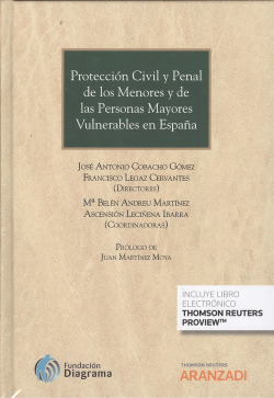 PROTECCIÓN CIVIL Y PENAL DE LOS MENORES Y DE LAS PERSONAS MAYORES VULNERABLES EN ESPAÑA