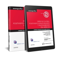 DERECHO GLOBAL:POSITIVISMO, IUSNATURALISMO Y RAZONABILIDAD DEL DERECHO