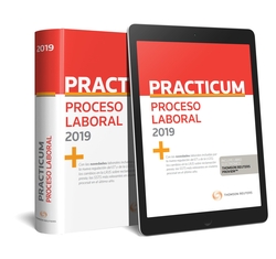 Practicum proceso laboral 2019 (DUO)