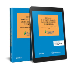 Riesgos y oportunidades transiccion energetica