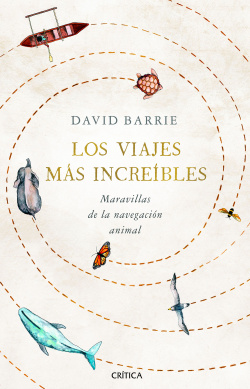 Los viajes más increíbles