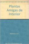 Plantas amigas de interior